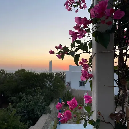 Minimal Blue With Sunset View In *